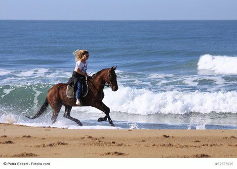 Mit dem Pferd am Strand reiten