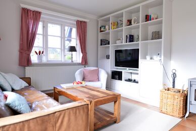 Die kleine Seeschwalbe